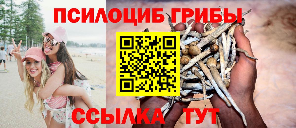 Галлюциногенные грибы прущие грибы Ижевск